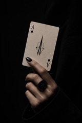 The Wild Card